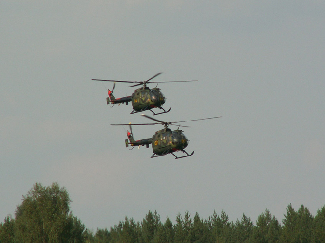 Dala-Järna 2006