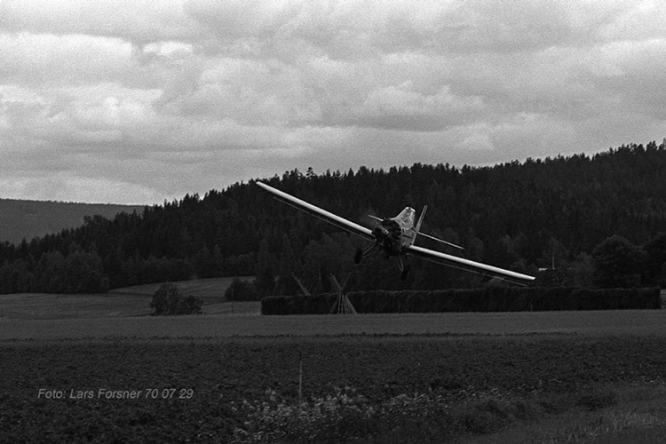 Forsner blandat