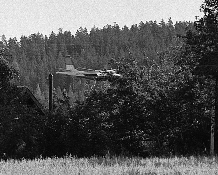 Forsner blandat